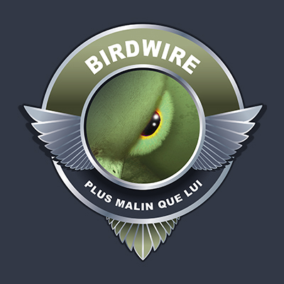 birdwire